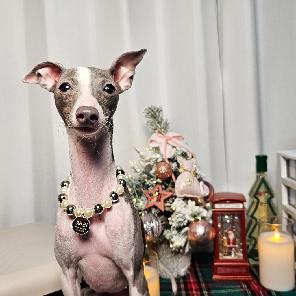 Handmade Christmas Pearl Dog Collar | Holiday Crystal Charm Necklace | Korean Pet Jewelry